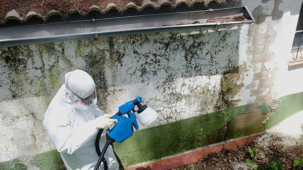 Top rated local Bathroom Mold Removal specialists in Hillsborough, NC